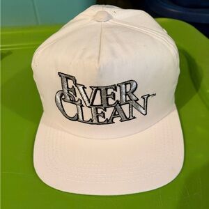 Vintage 90s Sherwin Williams Everclean Paint Trucker Hat Paint Logo Ultra Rare!
